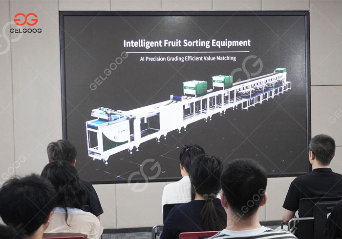 GELGOOG's New Generation Intelligent Fruit Sorting Equipment